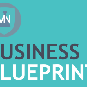 MN Business Blueprint